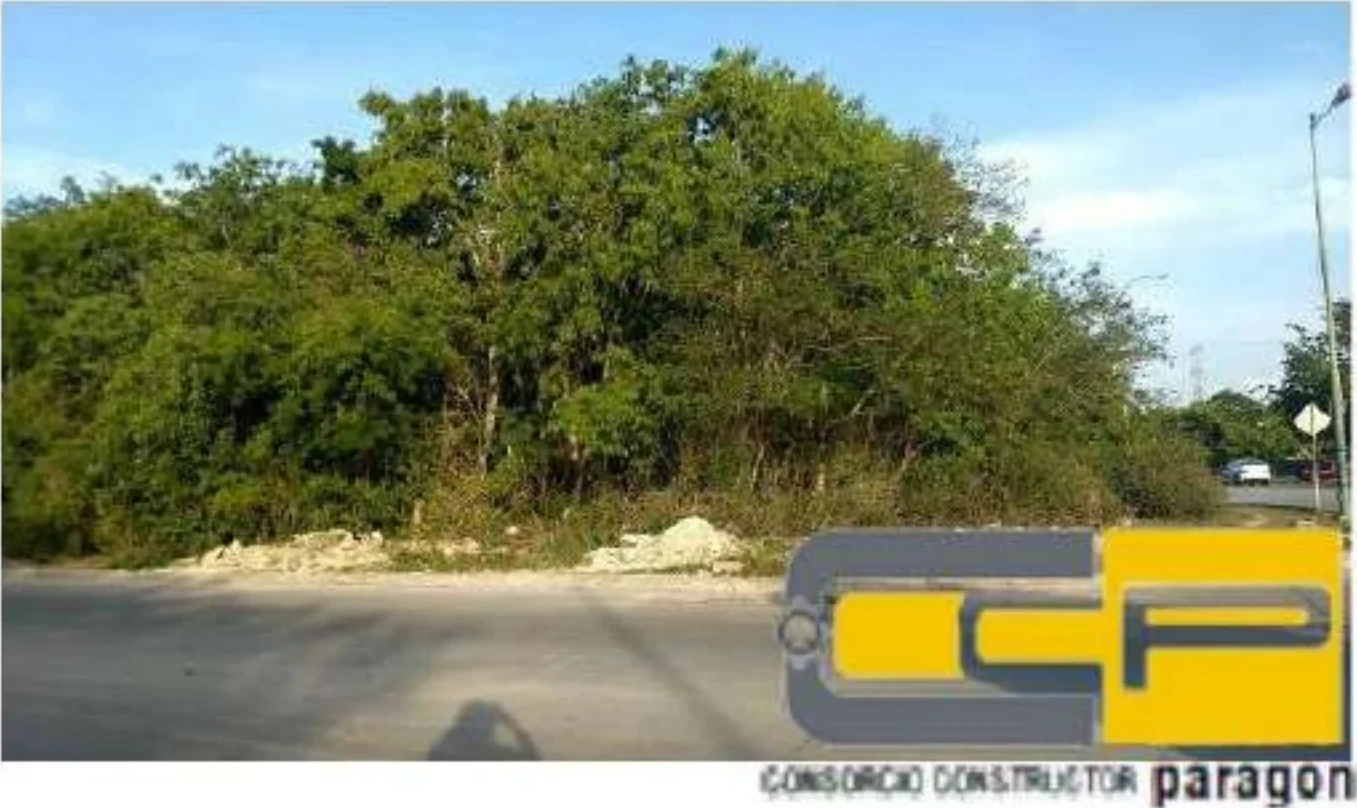 Nuk Ten Playa Car
